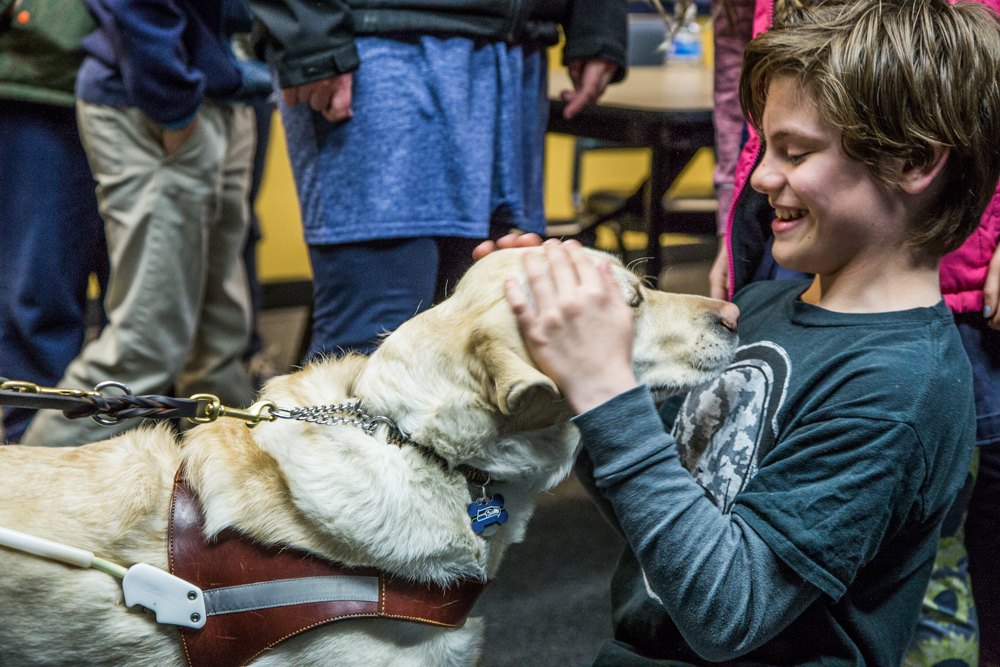 A student interacts with a guide dog