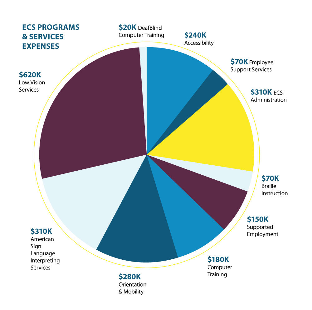 ECS Expenses Pie Chart infographic