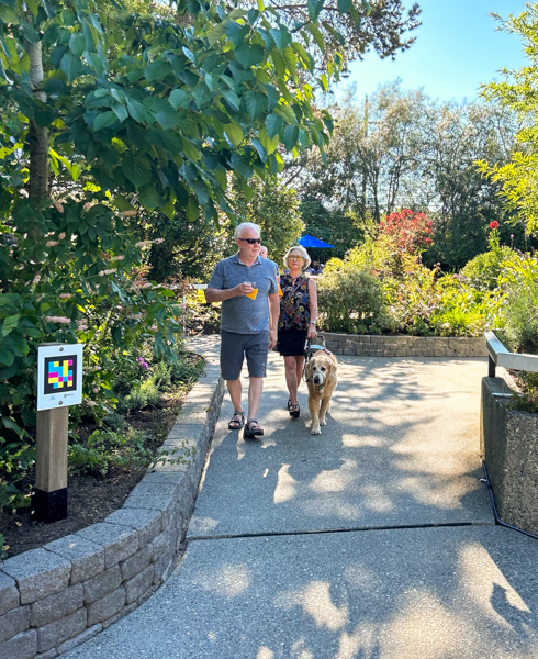 Two people walking through a lush garden. One of them is using a dog guide.