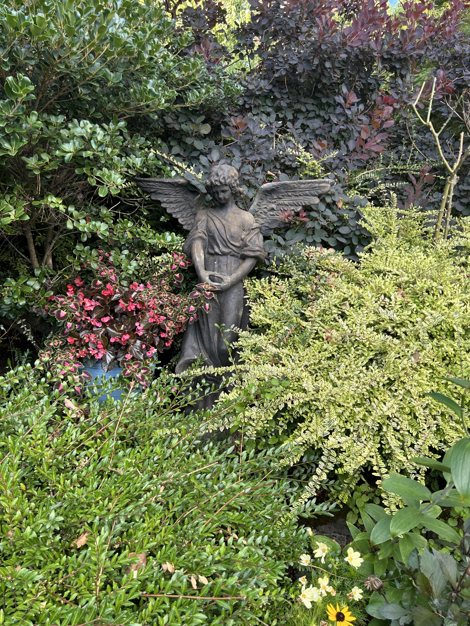Spring vegetation in Ethel L. Dupar's Fragrant Garden